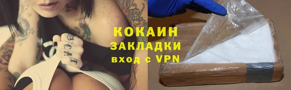 дживик Богородицк