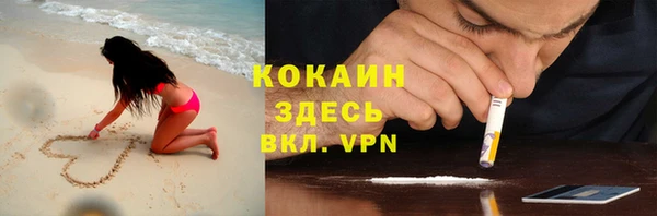 дживик Богородицк