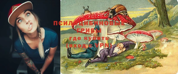метамфетамин Богданович