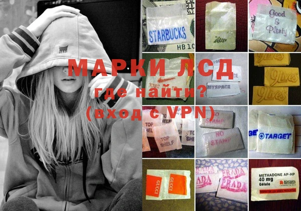дживик Богородицк