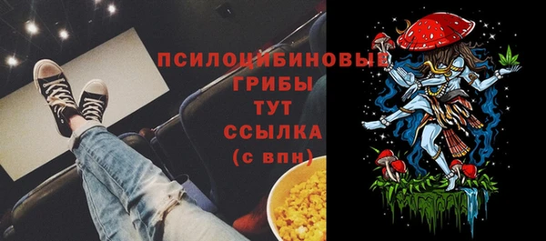 метамфетамин Богданович